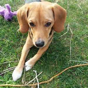 Meet your Posher, Lala